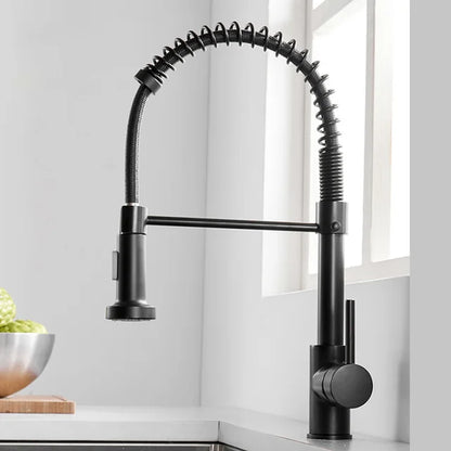 CASA GOURMET KITCHEN FAUCET