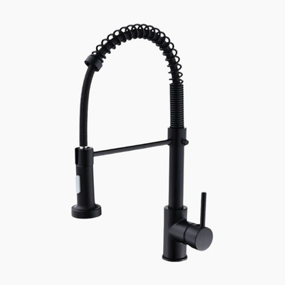 CASA GOURMET KITCHEN FAUCET